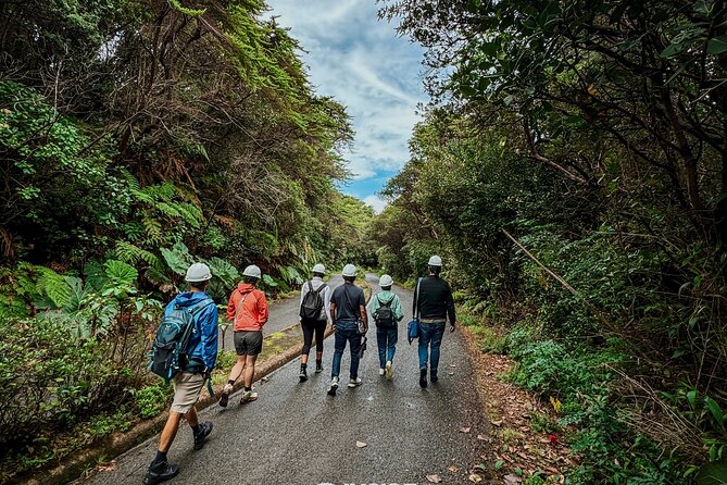 Poás Volcano and Coffee Tour with Tasting and La Paz Falls - Poás Volcano and its crater lagoon