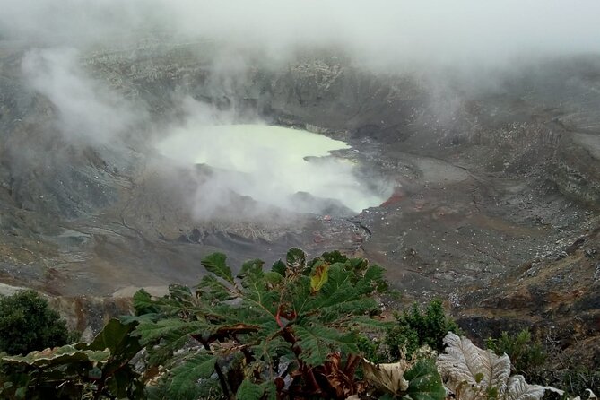 Poas Volcano waterfalls and coffee tour from from San Jose - Key points to know before booking