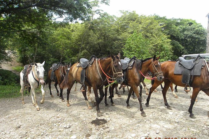 PRIVATE Buena Vista: Zip line, Horseback, Hot Springs + Lunch - Lunch gives the long day a proper finish