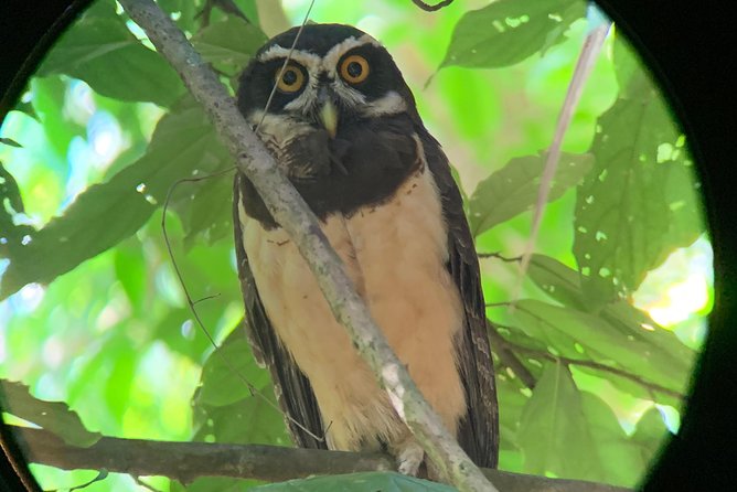 Private Guided Walking Tour in Hacienda Baru TICKET NOT included - Why Hacienda Barú is a smart alternative near Quepos