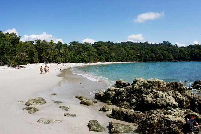 Private One Way Transfer from Manuel Antonio to San José (Airport SJO) - Key points to know before booking