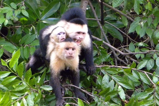 PRIVATE Palo Verde Boat Safari: Wildlife + Lunch Included - The road from Tamarindo to Palo Verde