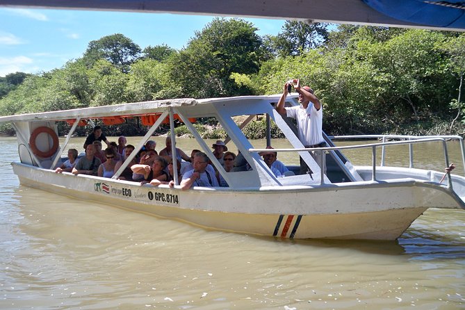 PRIVATE Palo Verde Boat Safari: Wildlife + Lunch Included - A Costa Rican lunch in Ortega