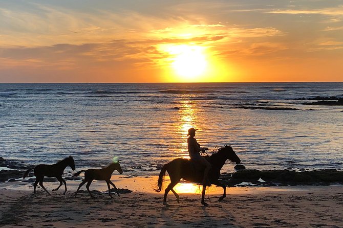 Private tours and transfer Costa Rica - From wildlife to a family kitchen