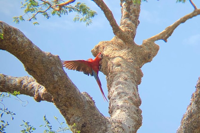 Private tours and transfer Costa Rica - What $150 per person really buys