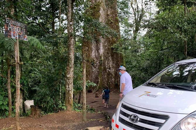 Private Transfer from La Fortuna to SJO Airport San Jose Hotels - Meeting the driver in La Fortuna