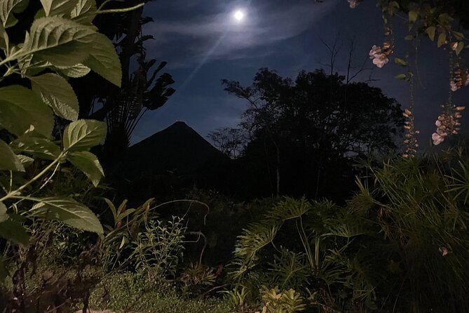 Private Transportation to La Fortuna from Guanacaste Airport - Who should book this transfer?