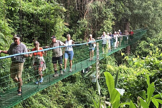 Puntarenas Shore Excursion: Rainforest Skywalk & Tarcoles River - A two-part Costa Rica nature day from Puntarenas