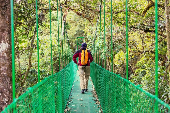 Puntarenas Shore Excursion: Rainforest Skywalk & Tarcoles River - Wildlife on the trail, with no guarantees