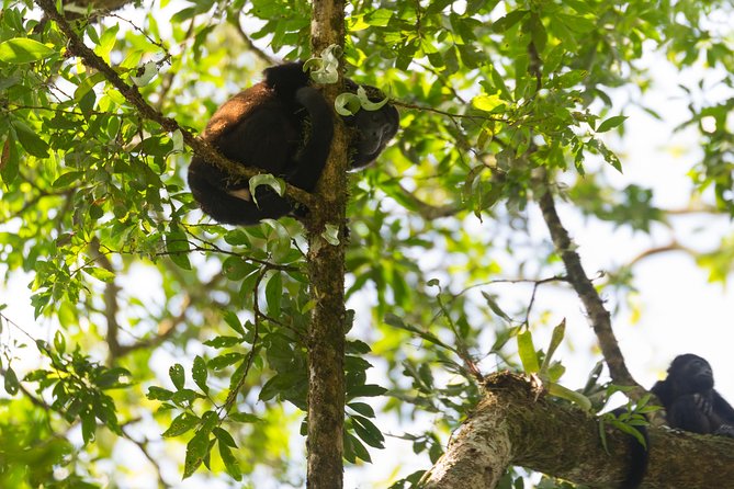 Pure Nature Safari River Float - A quiet alternative to La Fortuna’s busier outings