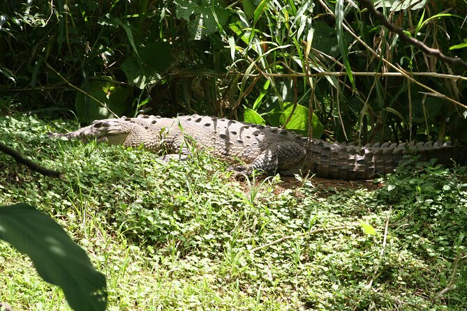 Pure Nature Safari River Float - Reading the river banks for wildlife
