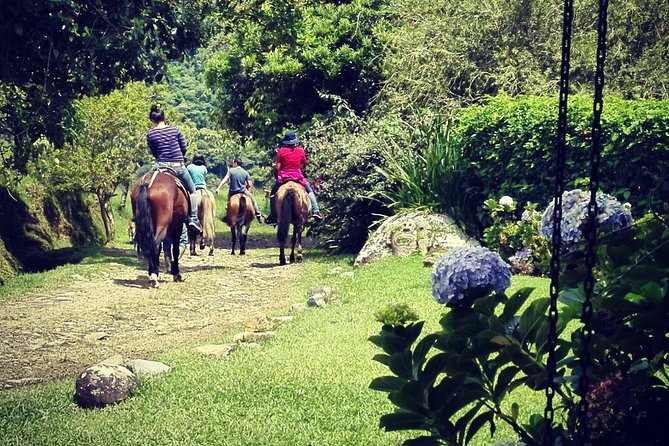 Queveri Horseback Riding Tours - Who will enjoy this four-hour outing