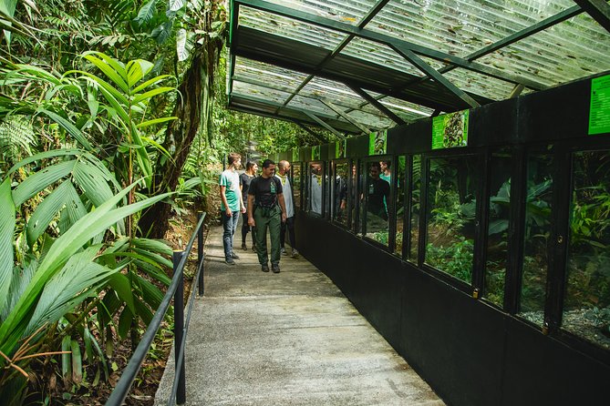 Rainforest Aerial Tram Half Day Pass – Braulio Carrillo Park - The short walk before the tram