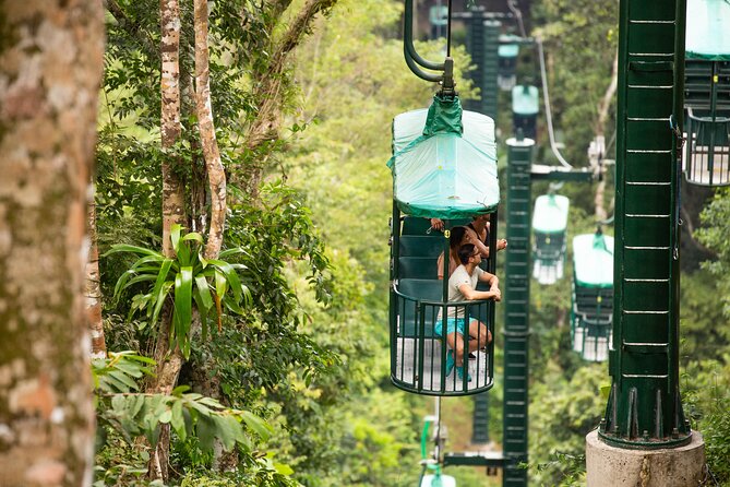 Rainforest Aerial Tram Half Day Pass – Braulio Carrillo Park - What the wildlife sightings are really like