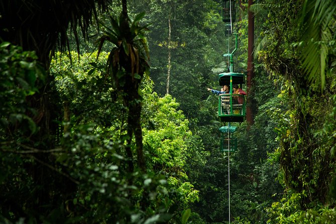 Rainforest Aerial Tram Half Day Pass – Braulio Carrillo Park - Who will enjoy this half-day pass