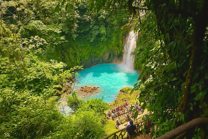 Rio Celeste Expedition – Sloths, Waterfalls & Nature's Magic - A family sloth property with more than sloths