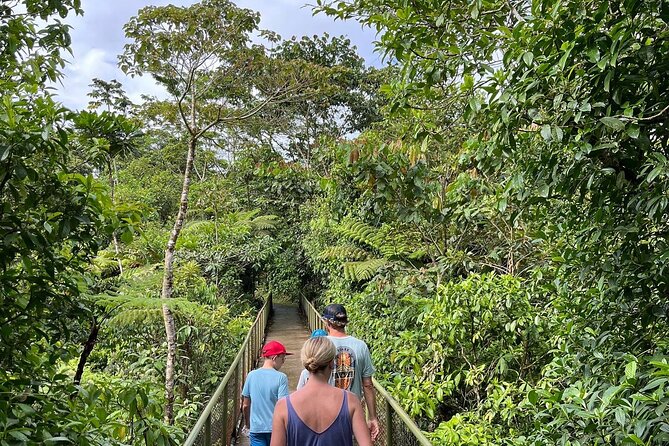 Rio Celeste Waterfall Plus Sloths and wildlife Sanctuary - Who should book this full-day outing?