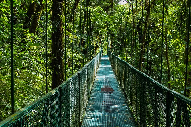 Selvatura Park Combo Tour From Monteverde - What the $168 Monteverde combo actually gives you