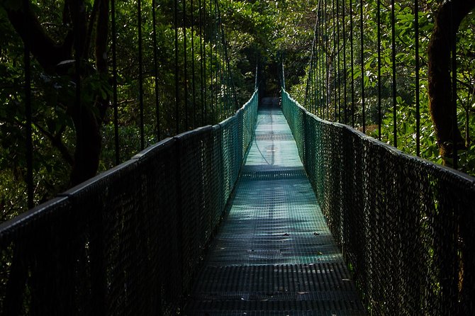 Selvatura Park Combo Tour From Monteverde - Who will enjoy this six-and-a-half-hour day