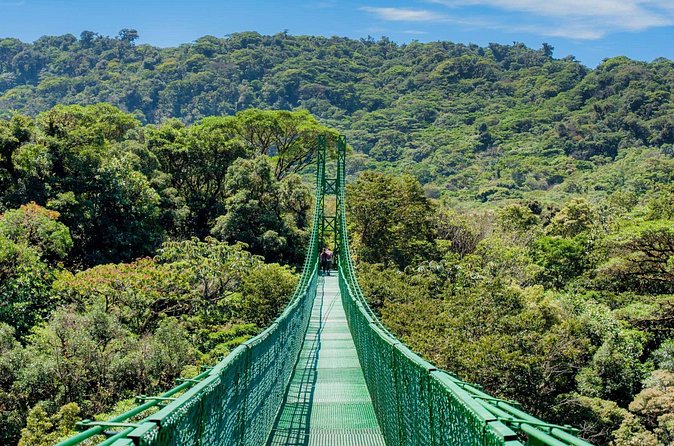 Selvatura Park Hanging Bridge Tour in Monteverde - Is the $56 price fair?
