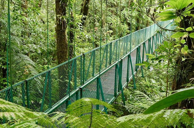 Selvatura Park Hanging Bridge Tour in Monteverde - Rain, clothing, and practical comfort