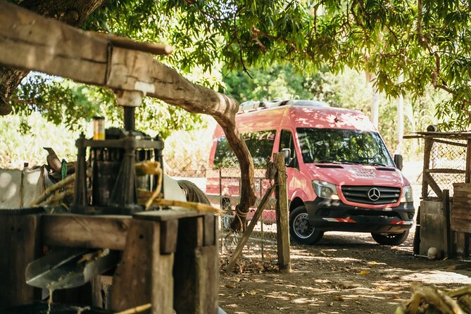 Shuttle from La Fortuna to San Jose - Key points to know before booking