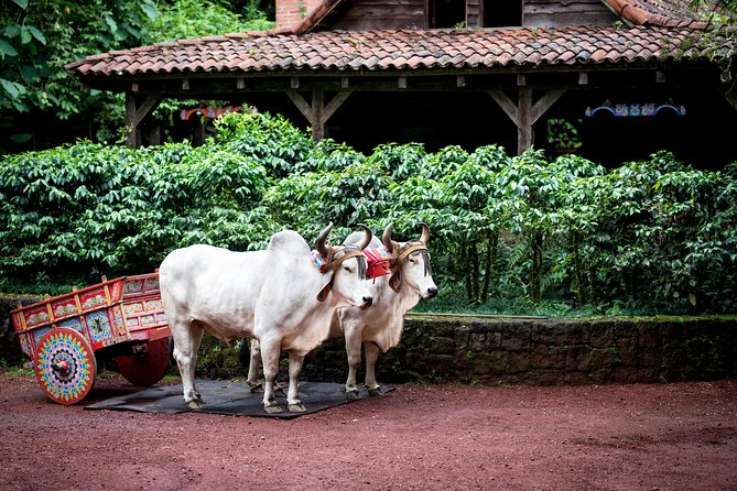 Skip the Line:Day Ticket-La Paz Waterfall Gardens Nature Park & Wildlife Refuge - A small look at traditional Costa Rican life