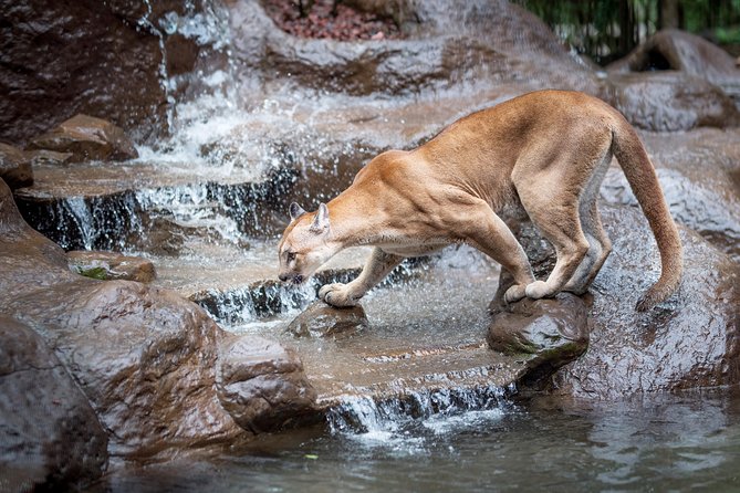 Skip the Line:Day Ticket-La Paz Waterfall Gardens Nature Park & Wildlife Refuge - Start with the waterfalls if rain is on the way