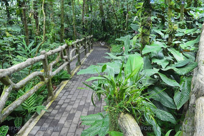 Skip-the-Line La Fortuna Waterfall Admission Ticket - What you find at the entrance