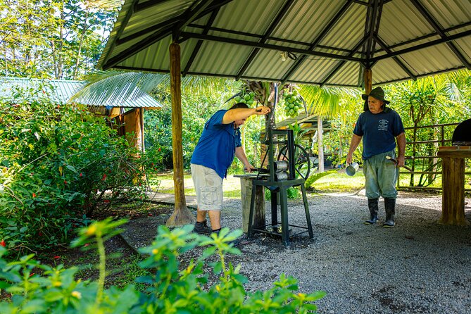 SLOTH PARK ADVENTURE La Fortuna - When to go and how to plan your day
