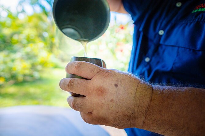 Sloth Tour in La Fortuna and Tortillas Cooking Class - Who should book this activity?