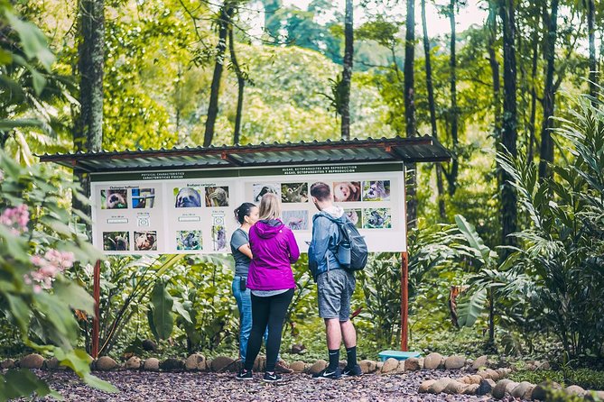 Sloth Tour - Key points before you book
