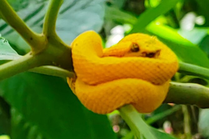 Sloths in the Rain Forest and Safari by the River - The optional El Jardín Liberia stop