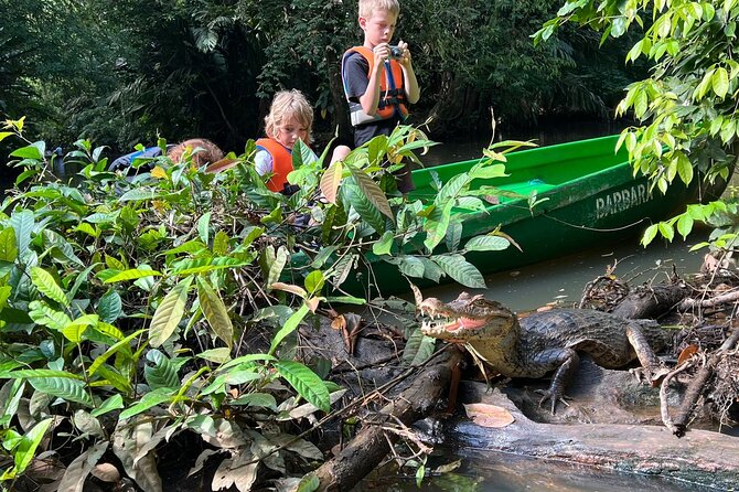 Small Group Tortuguero National Park Canoe Tour - Who will enjoy this Tortuguero canoe tour?