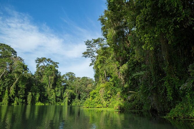 Small-Group Tortuguero National Park Night Walk in Costa Rica - Key Points at a Glance