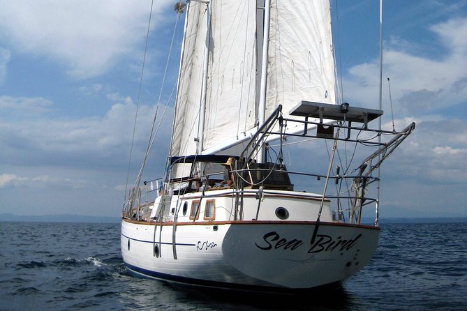 Snorkeling and Cruises - Key points to know before sailing