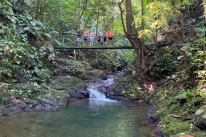 Special Private Waterfalls and Jungle Safari Tour - A private rainforest outing at Hacienda Ébano