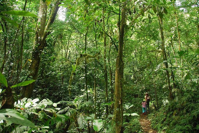 Special Private Waterfalls and Jungle Safari Tour - The Big Mango Lookout by safari truck