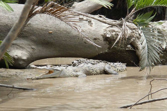 Spectacular Palo Verde Eco-Tour & Blue Zone Adventure - Is $148.72 a fair price?