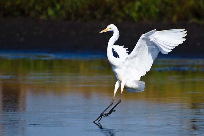 Spectacular Palo Verde Eco-Tour & Blue Zone Adventure - Practical planning for the 7:00 am departure