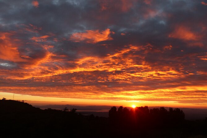 Sunset And Night Walk Guided Tour - Watching Monteverde turn from gold to black