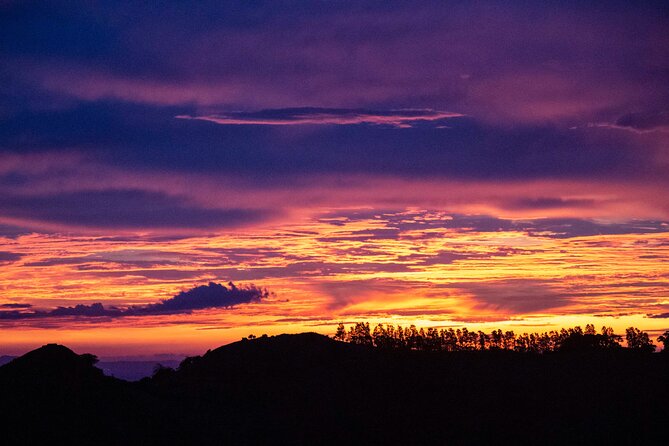 Sunset And Night Walk Guided Tour - Who will enjoy this walk most