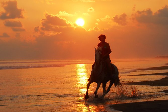 Sunset & Horses - At a glance