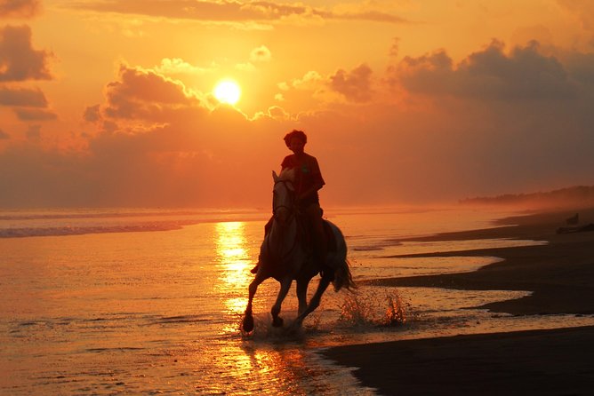 Sunset & Horses - What the 90-minute ride feels like