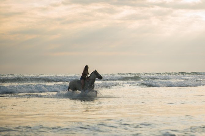Sunset & Horses - What to wear and bring