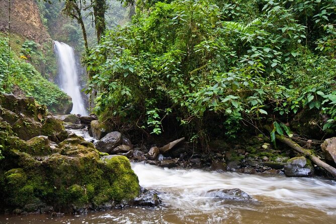 Super Combo Tour: Waterfalls Gardens + Coffee Tour + Poás Volcano - Doka Estate begins the day with coffee and breakfast