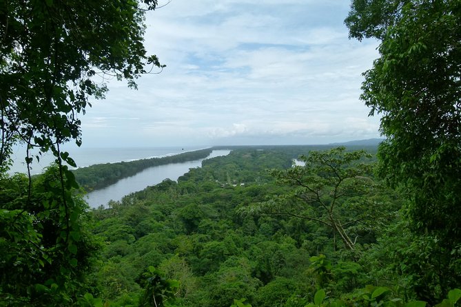 The best of Tortuguero: Canoe, hike and night tour (turtle in Jul-Oct) - The National Park walk at 11 a.m.