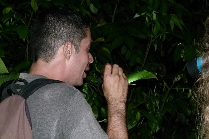 The best of Tortuguero: Canoe, hike and night tour (turtle in Jul-Oct) - The evening wildlife outing and turtle season