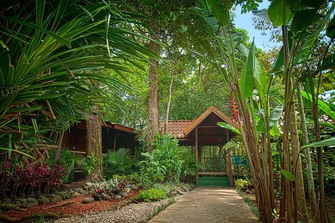 Tortuguero : All Inclusive Package 2 Nights 3 Days from San Jose - Day two: private trails and the Tortuguero canals