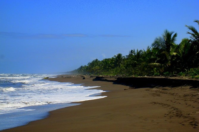 Tortuguero National Park and Canals Day Trip from San Jose - Coffee farms and Braulio Carrillo before breakfast